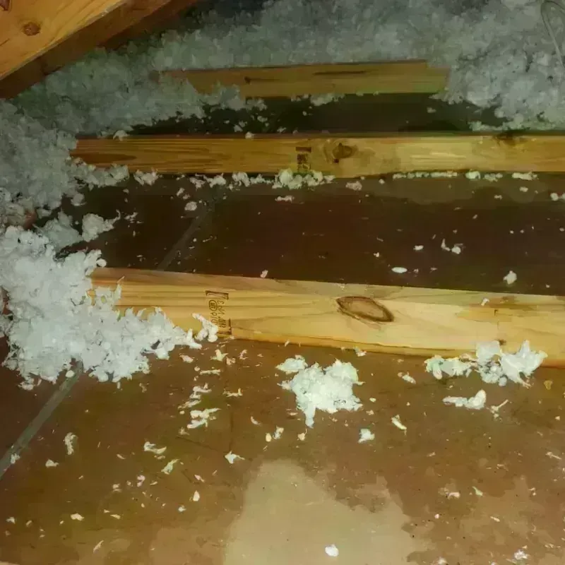 Attic Water Damage in Bates County, MO